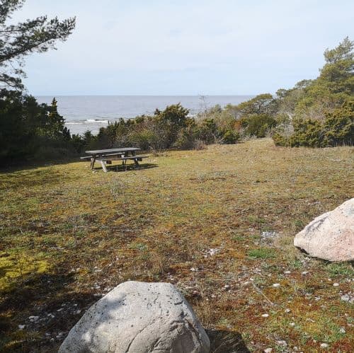 1-IMG_20200507_142909