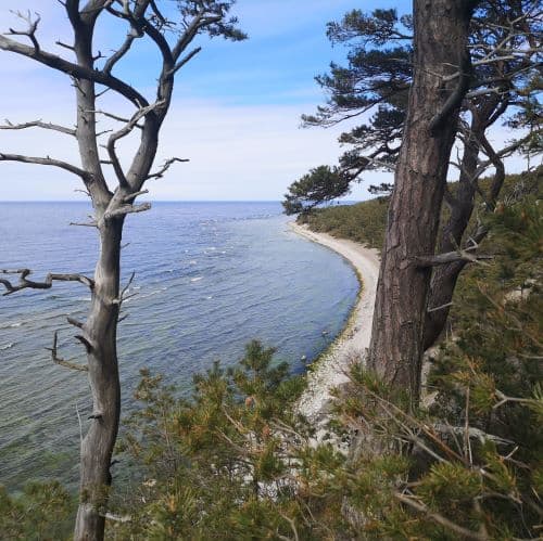 1-IMG_20200507_141341