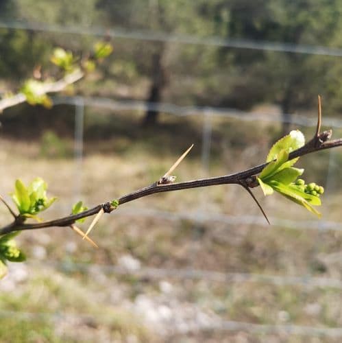 1-IMG_20200507_135951