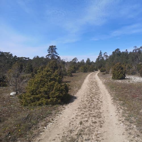 1-IMG_20200507_134145