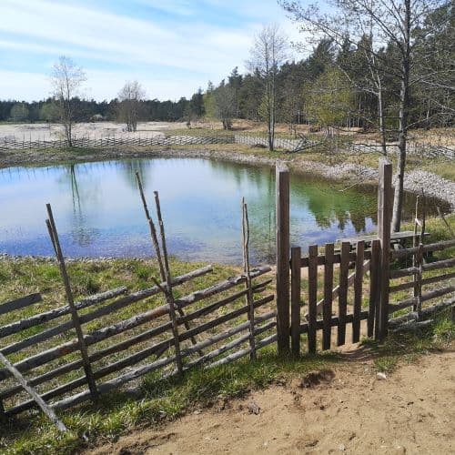 1-IMG_20200507_133817