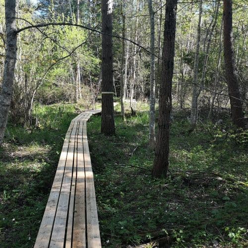 1-IMG_20200522_163034