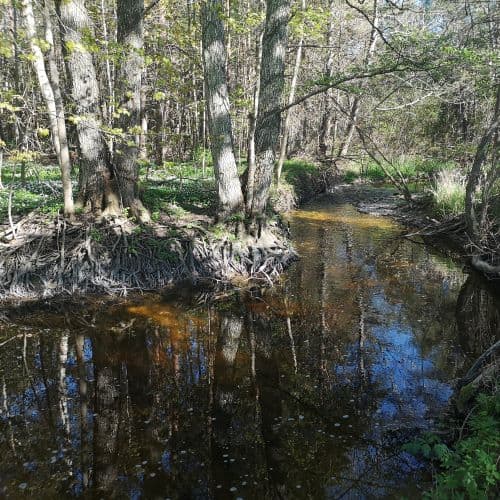 1-IMG_20200522_162651