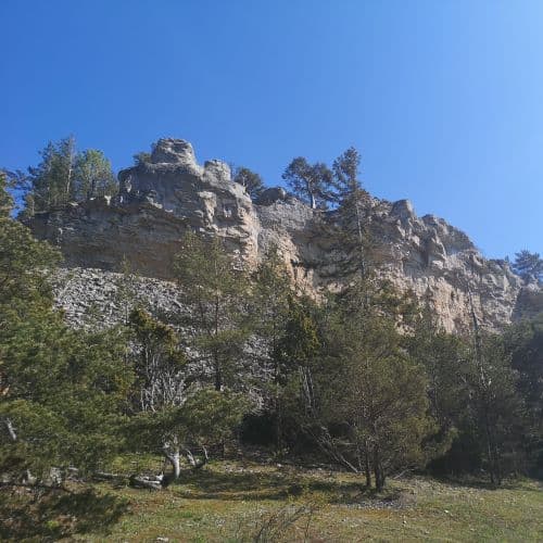 1-IMG_20200522_160640