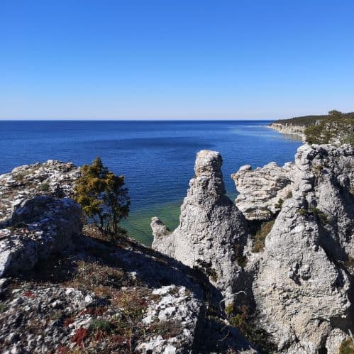 1-IMG_20200522_155048