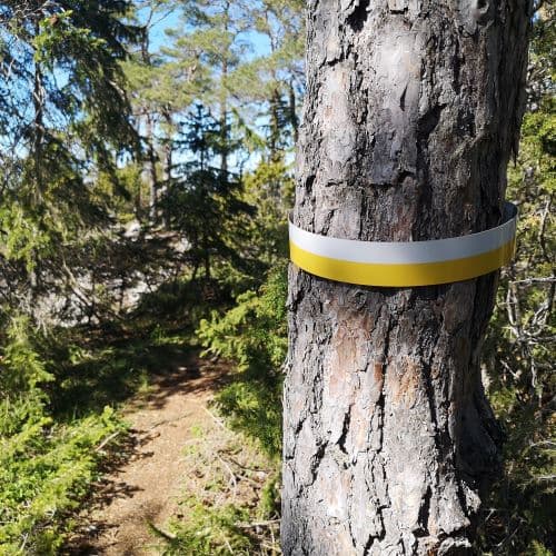 1-IMG_20200522_151136