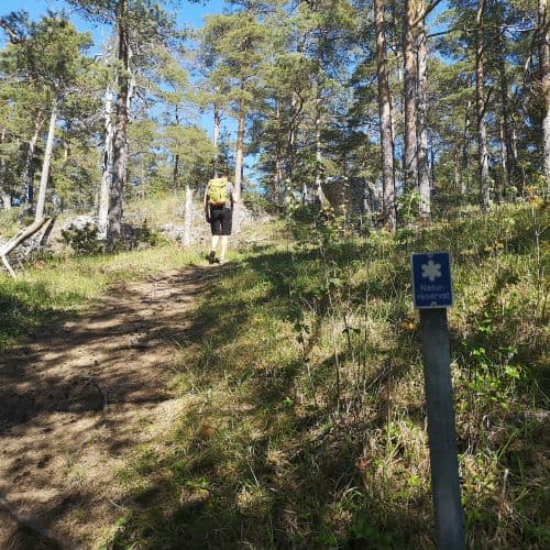 1-IMG_20200522_145359