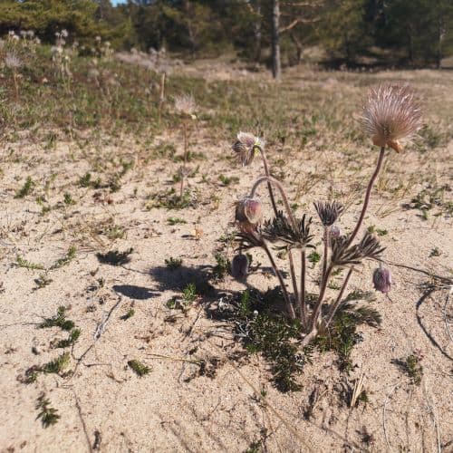 3-img_20200522_162000