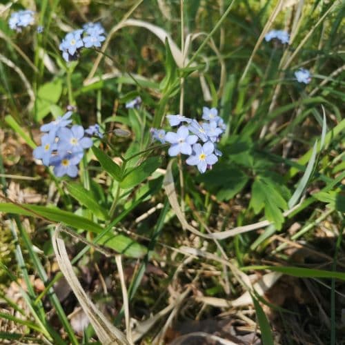 4-img_20200522_162816