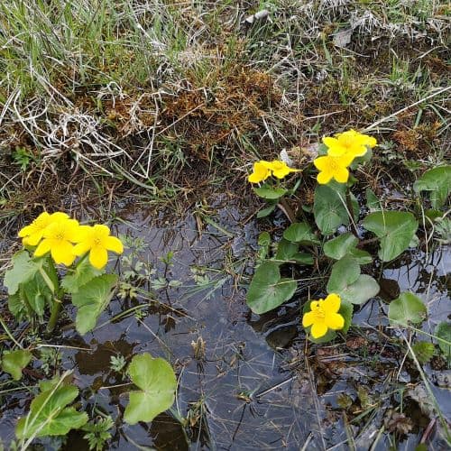 1-IMG_20200502_145407