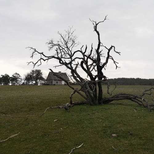 1-IMG_20200502_150806