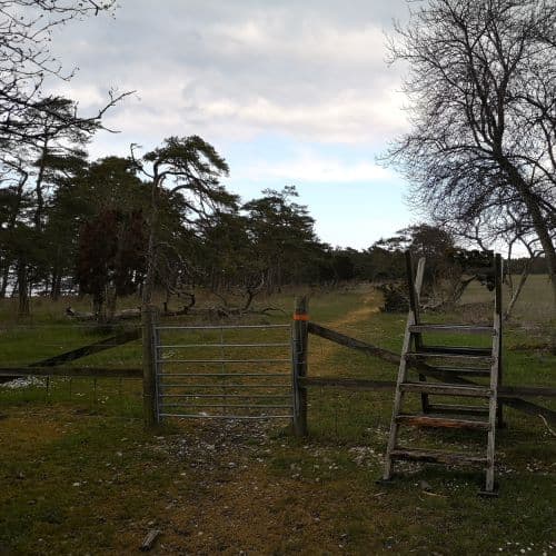 1-IMG_20200502_141230