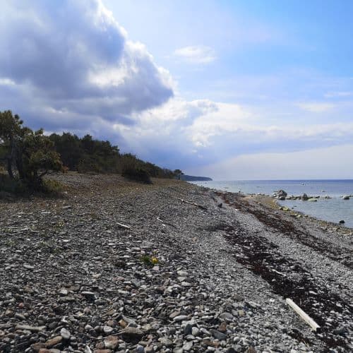 1-IMG_20200502_132021