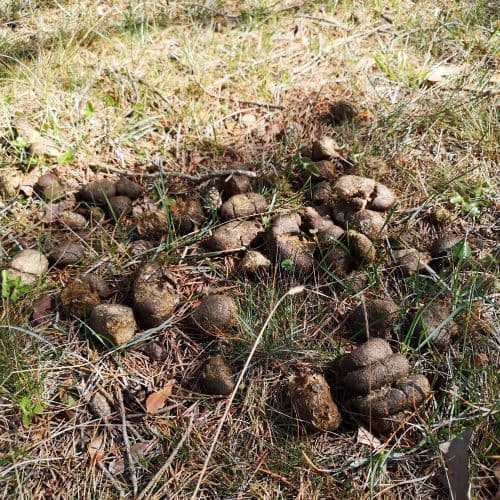 2-IMG_20200502_131529