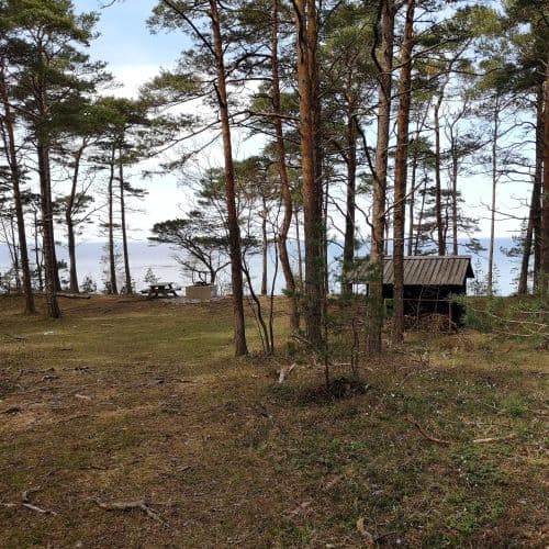 1-IMG_20200502_124827