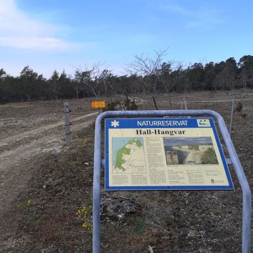 3-img_20200502_122700