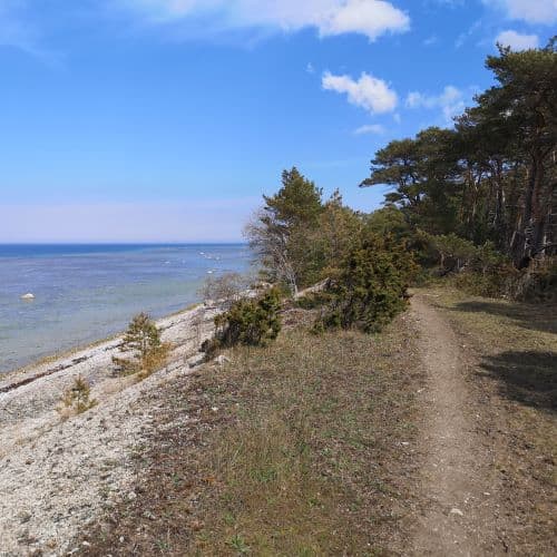 4-IMG_20200502_130621