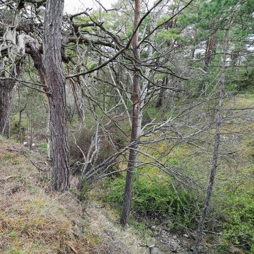 2-img_20200502_155135