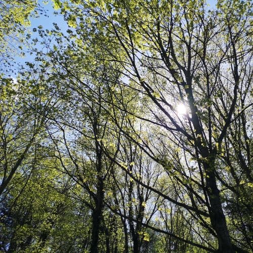 1-IMG_20200524_133815