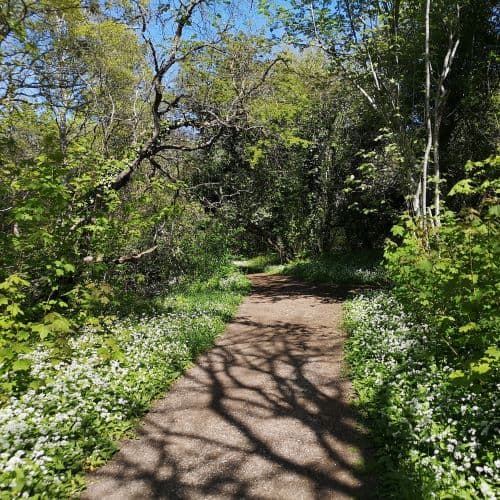 1-IMG_20200524_133316