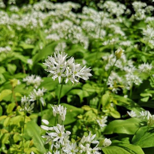 1-IMG_20200524_133241