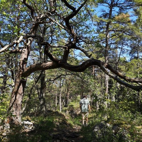 1-IMG_20200524_125604