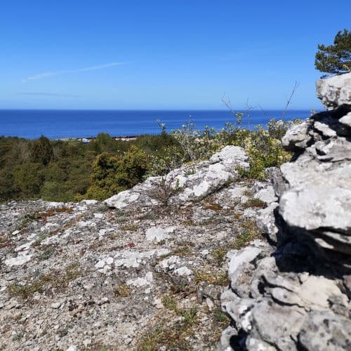 1-IMG_20200524_122702