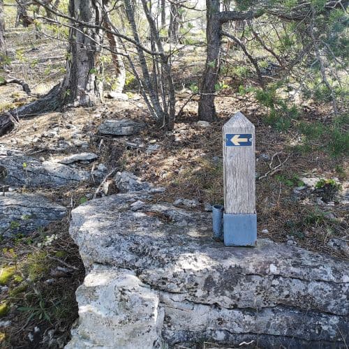 1-IMG_20200524_122558