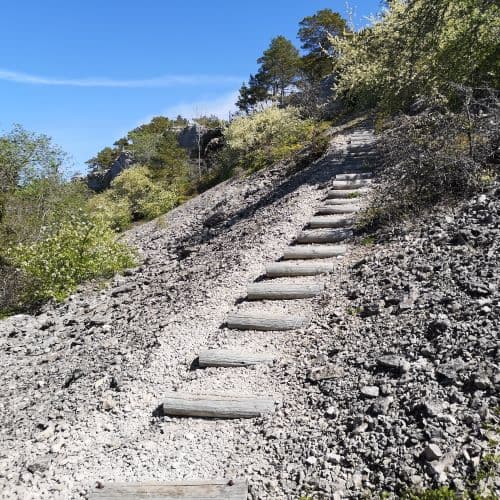 1-IMG_20200524_122447