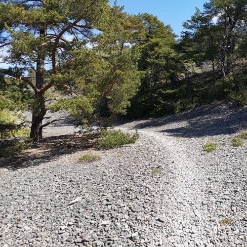 1-IMG_20200524_122348