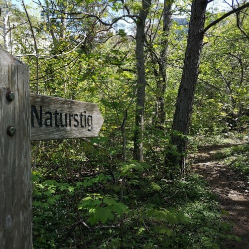 1-IMG_20200524_121920