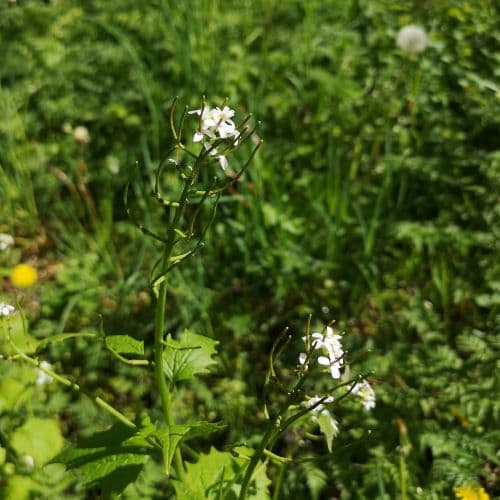 1-IMG_20200524_121104