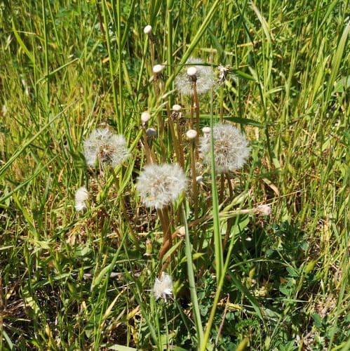 1-IMG_20200524_120907