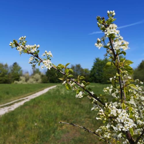 1-IMG_20200524_120850