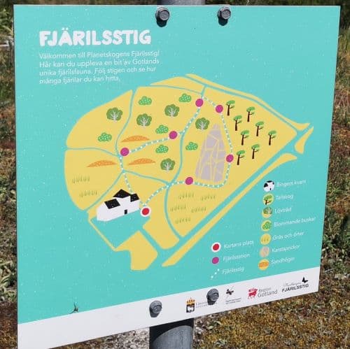 1-img_20200531_140333