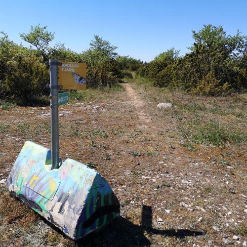 1-IMG_20200531_141650