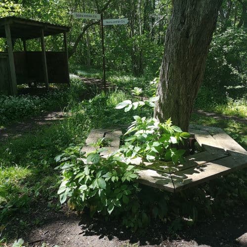 1-IMG_20200609_144203