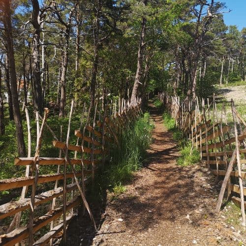 1-IMG_20200609_135459