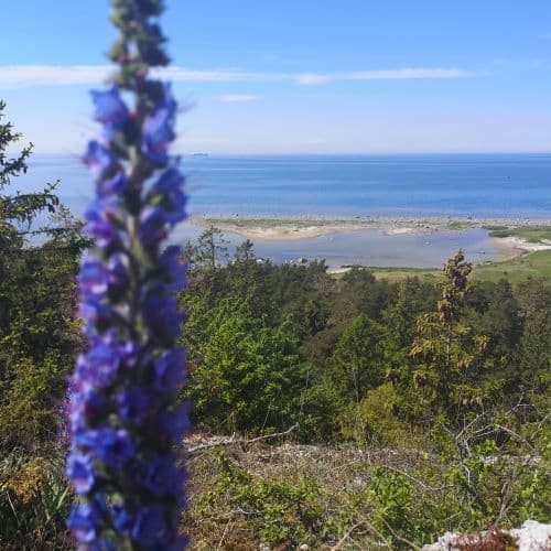 1-IMG_20200609_133525