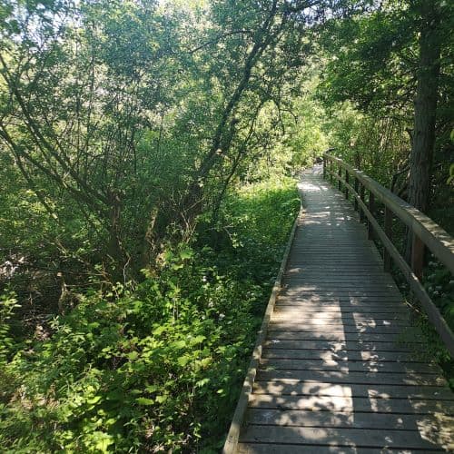 1-IMG_20200609_123605