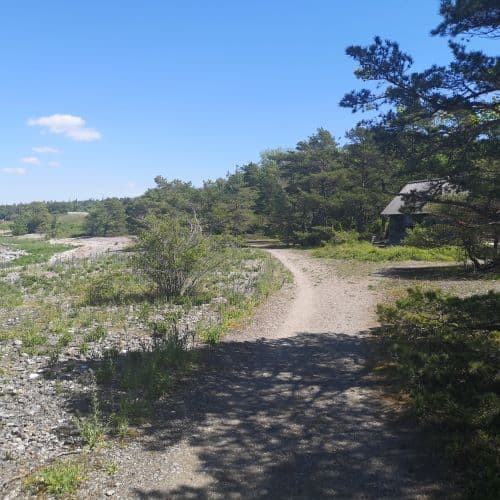 1-IMG_20200609_122145