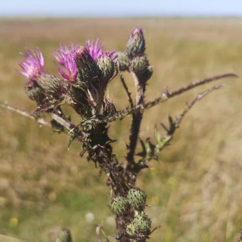 1-IMG_20200609_121406