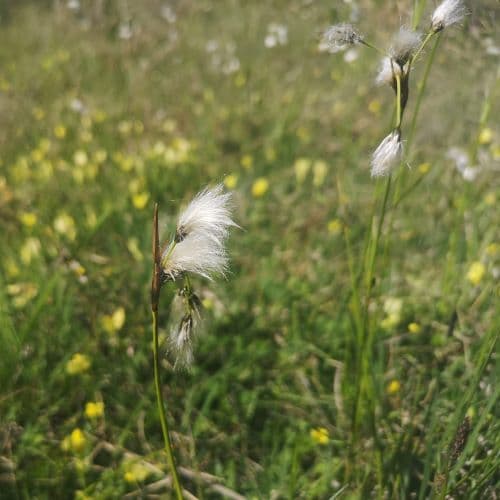 1-IMG_20200609_121250