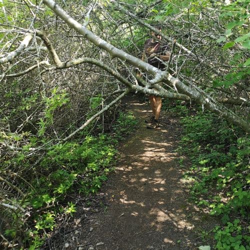 1-IMG_20200609_115819