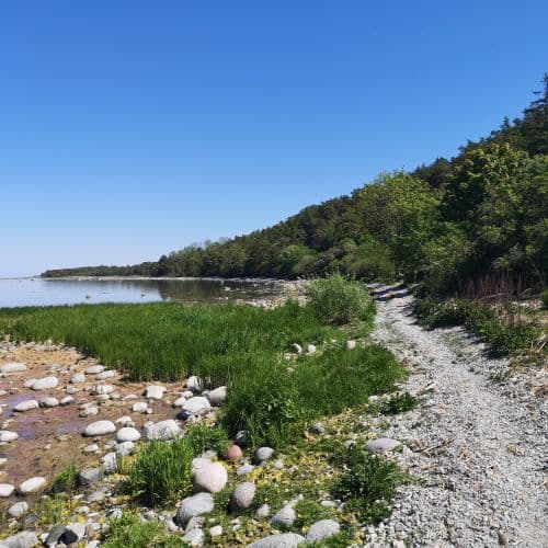 1-IMG_20200609_115045