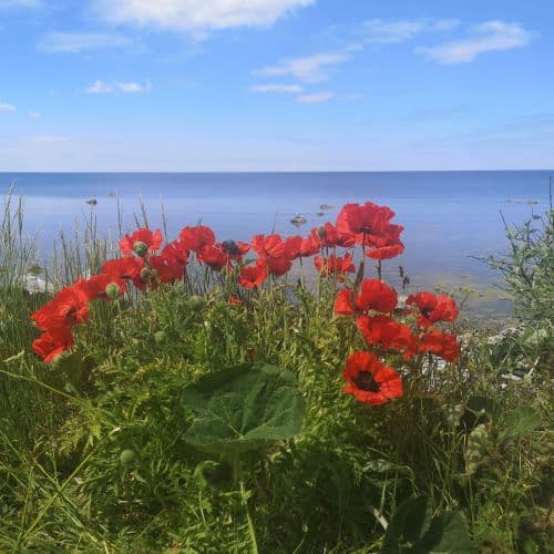 1-img_20200604_115655