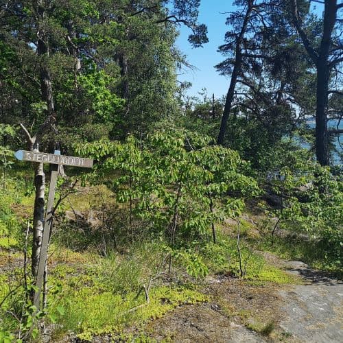 1-IMG_20200612_115515