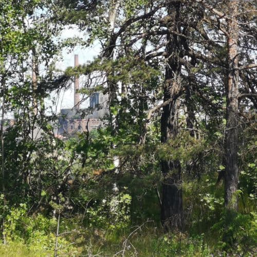 1-IMG_20200612_110745