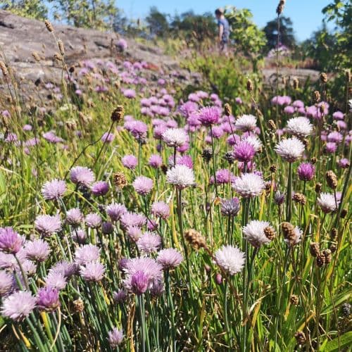 1-IMG_20200612_110102