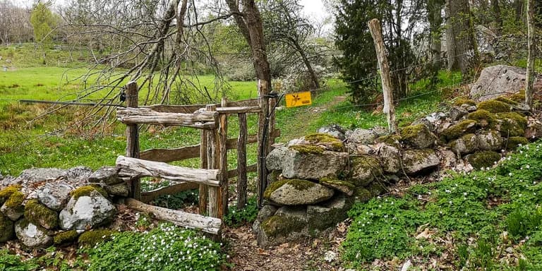 IMG_20210515_125321-4